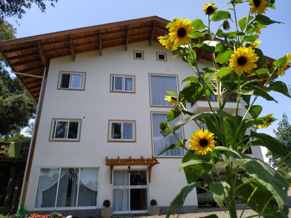 Villa Gruntal Hospedaria Трезі-Тіліас Екстер'єр фото