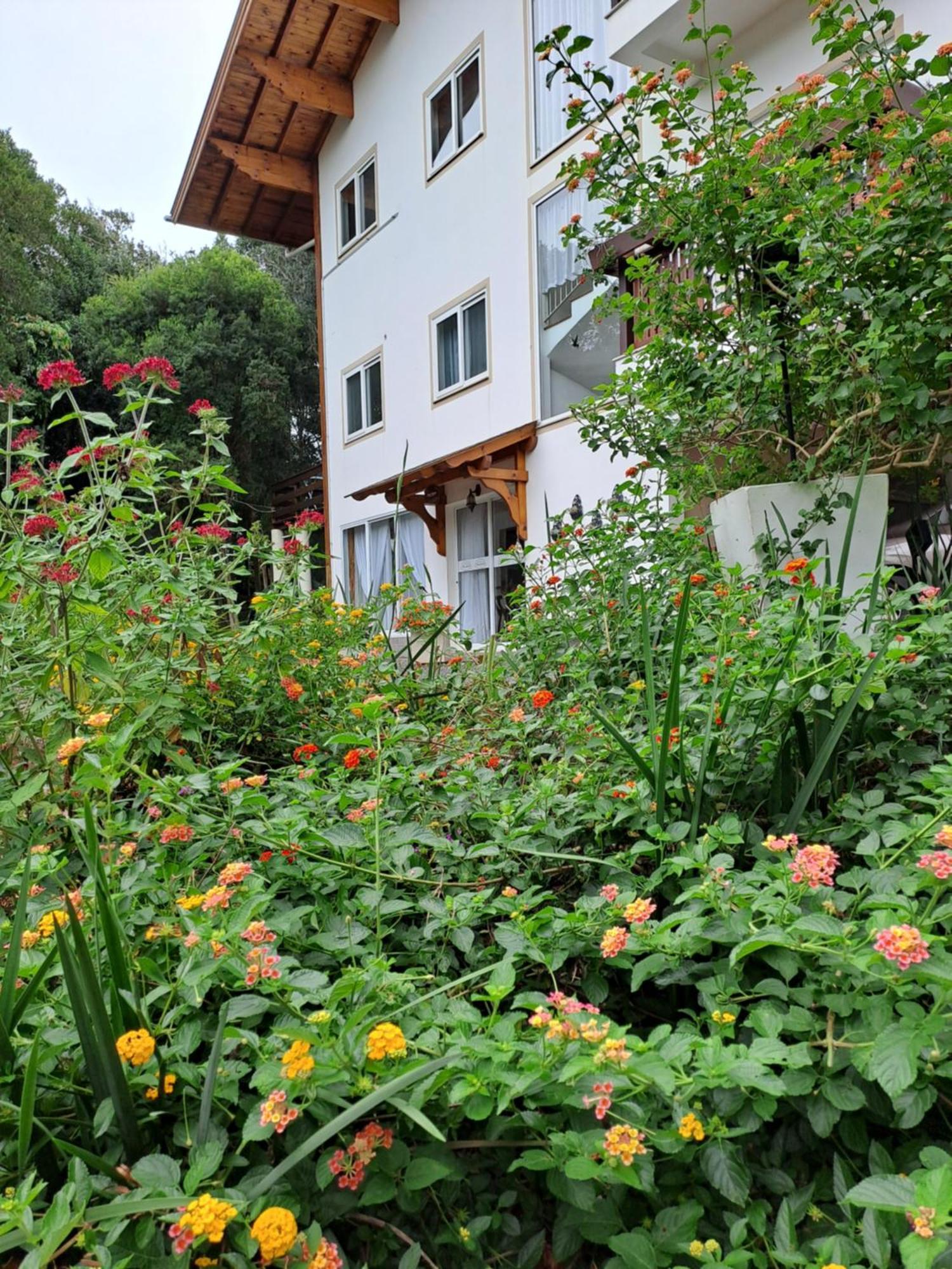 Villa Gruntal Hospedaria Трезі-Тіліас Екстер'єр фото